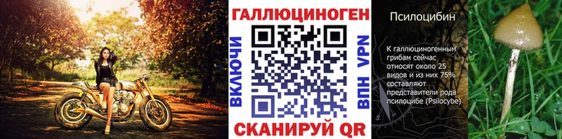 Галлюциногенные грибы мицелий darknet клад Томмот